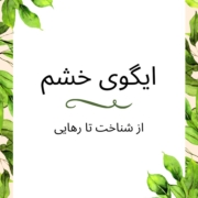 ایگو خشم