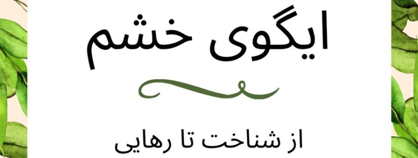 ایگو خشم